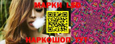 спиды Новозыбков
