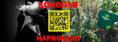 Альфа ПВП Новодвинск