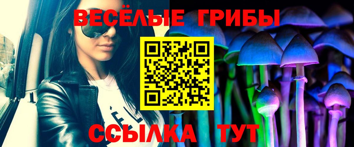 Псилоцибиновые грибы Magic Shrooms  Вход с VPN  магазин  наркотиков  Амурск  Псилоцибиновые грибы Psilocybine cubensis 